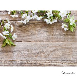 phụ kiện chụp ảnh sản phẩm