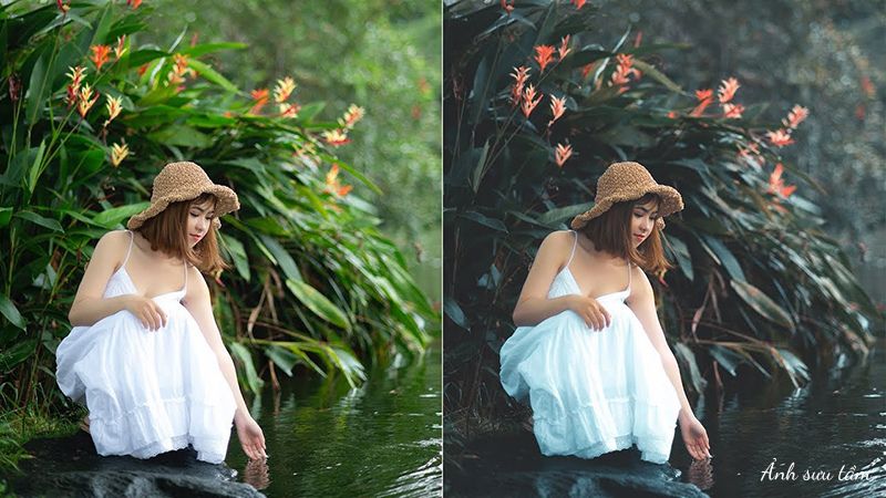 Blend Màu Trong Photoshop Là Gì? Chế Độ Blend Màu Photoshop