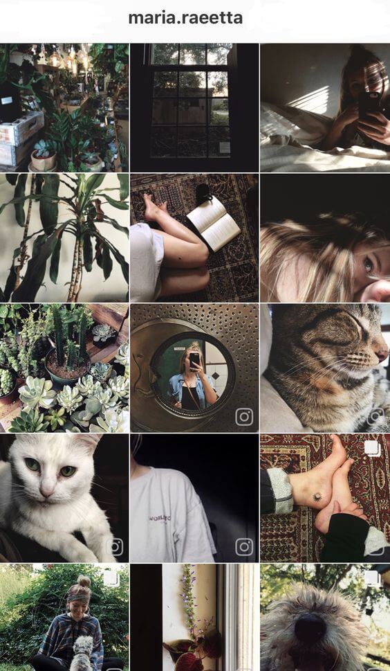 Instagram còn tạo được một cộng đồng chia sẻ hình ảnh, video ấn tượng trên toàn thế giới
