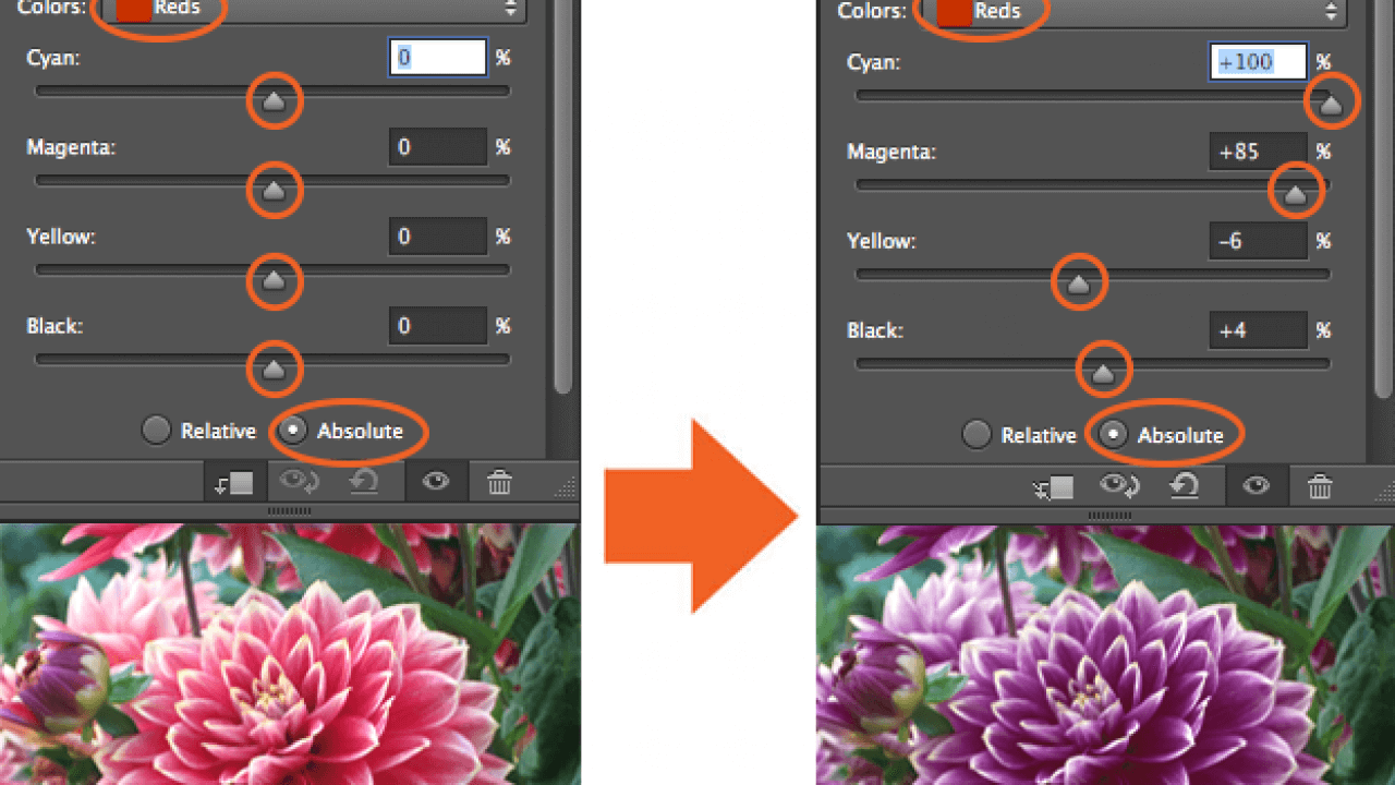 Người dùng có thể chỉnh sửa màu ảnh hoặc khôi phục lại ảnh gốc dễ dàng với Adjustment Layers 