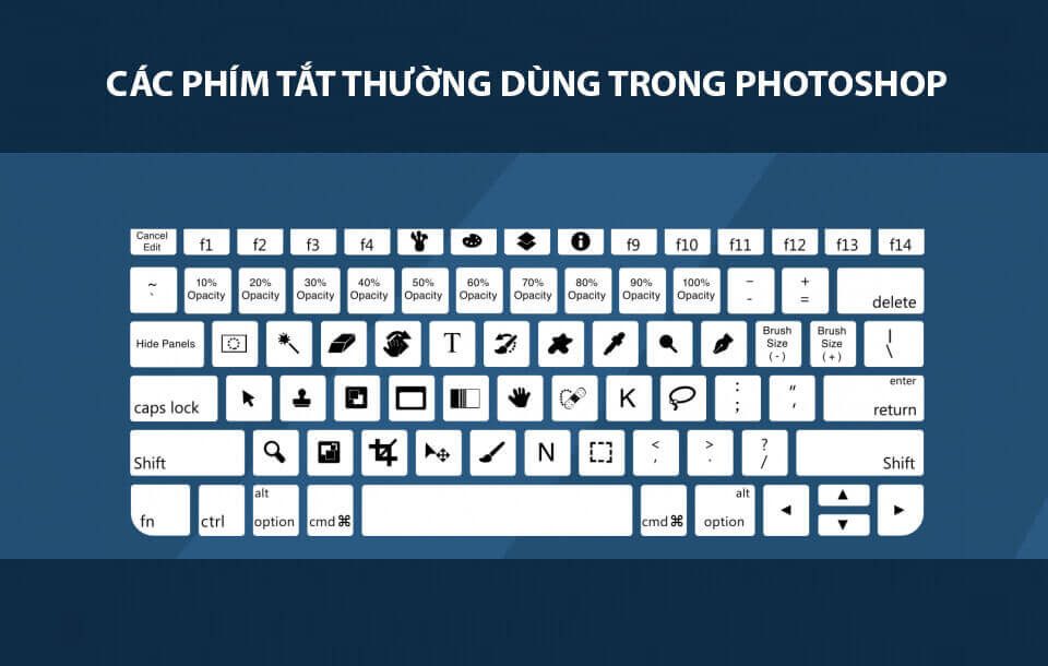 Người dùng nên nắm rõ các phím tắt trong Photoshop để tiết kiệm thời gian chỉnh sửa