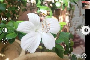 app chụp ảnh ngoài trời đẹp