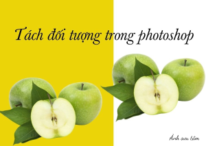 Tách đối tượng trong photoshop